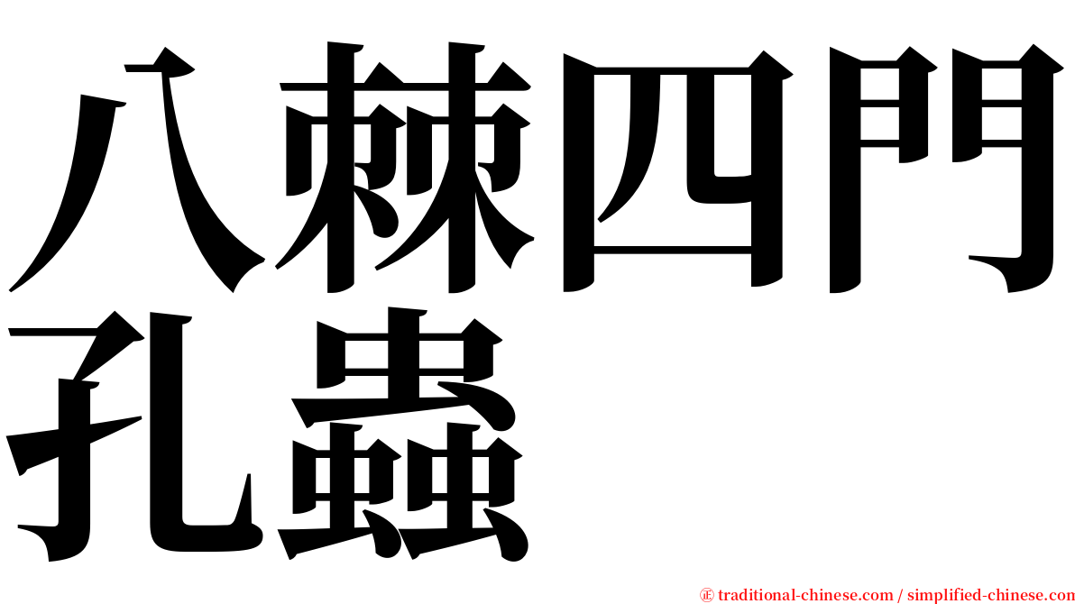八棘四門孔蟲 serif font