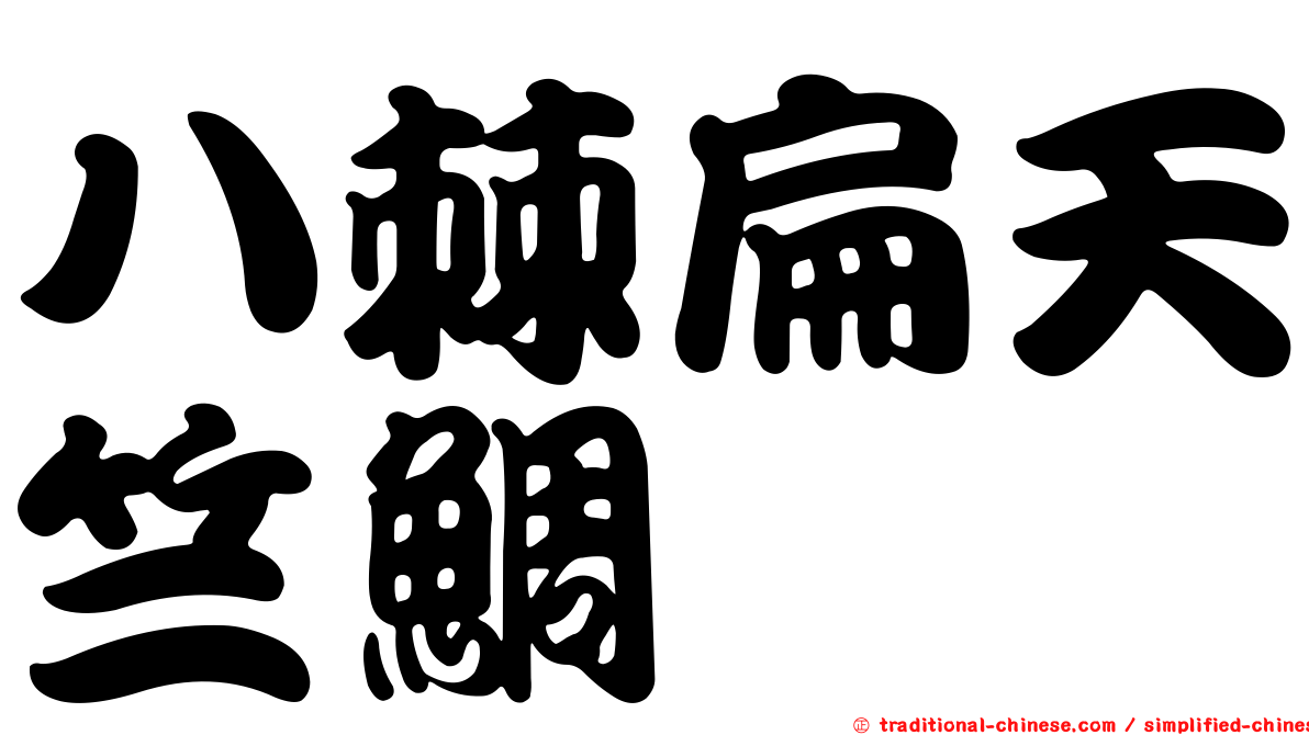 八棘扁天竺鯛