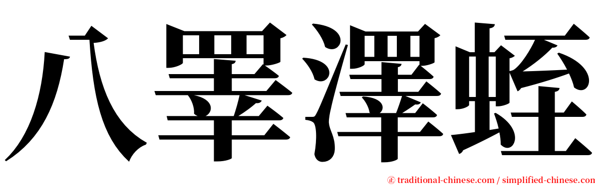八睪澤蛭 serif font