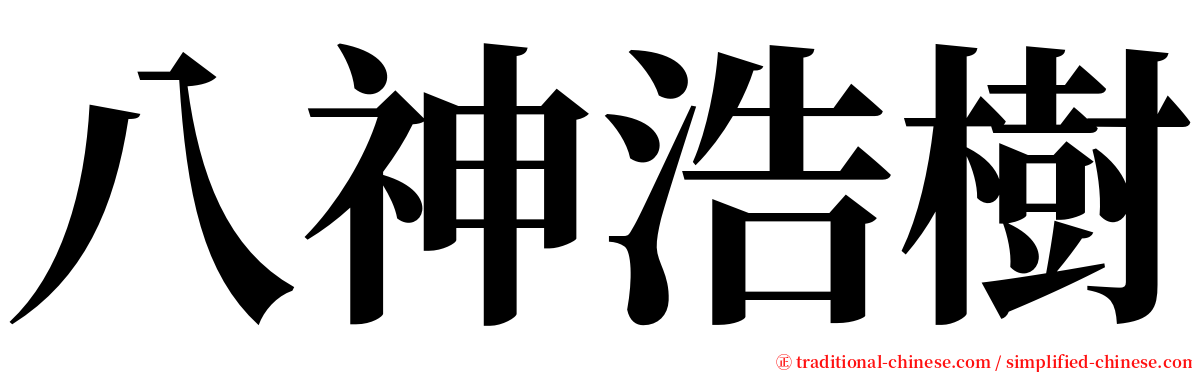 八神浩樹 serif font