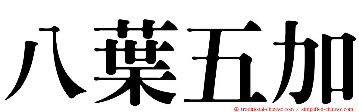 八葉五加