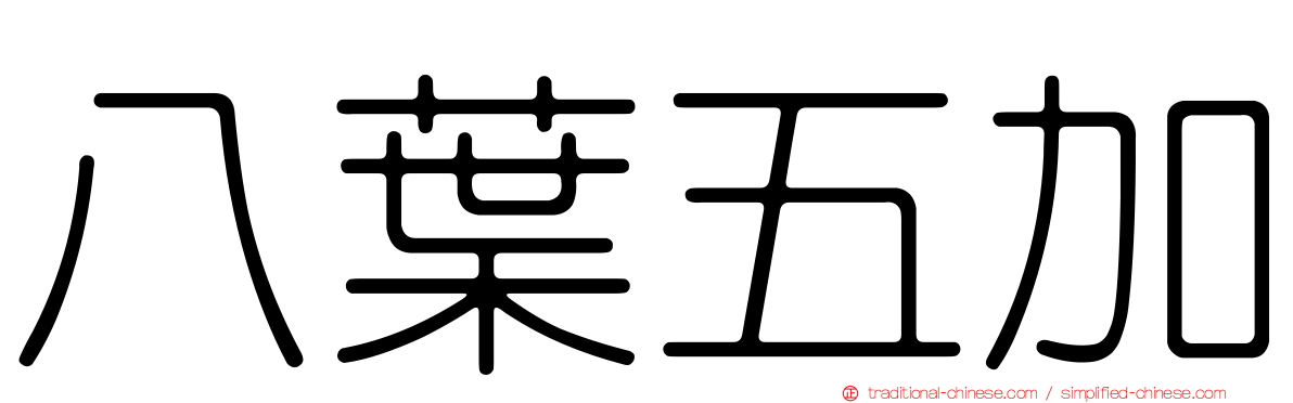 八葉五加