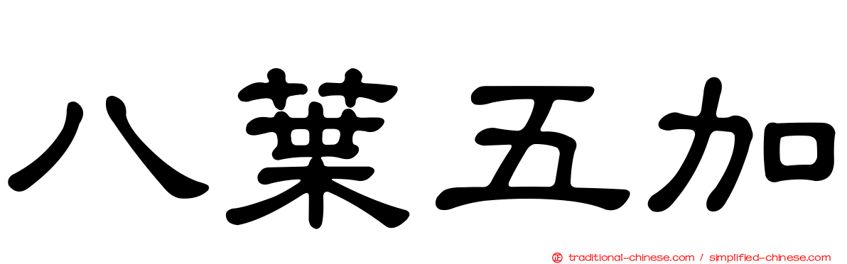 八葉五加