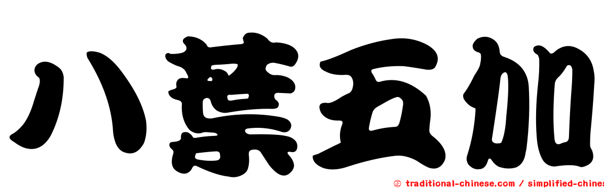 八葉五加
