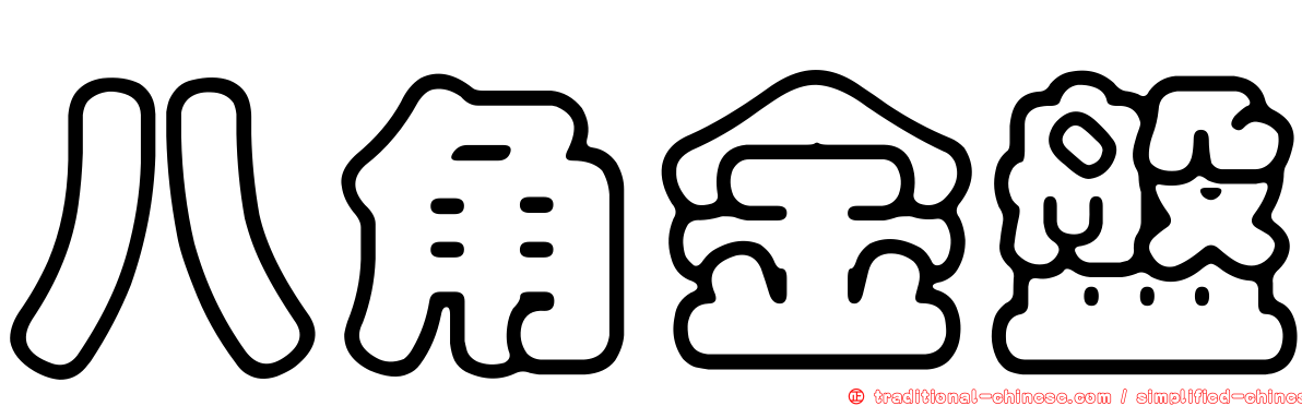 八角金盤