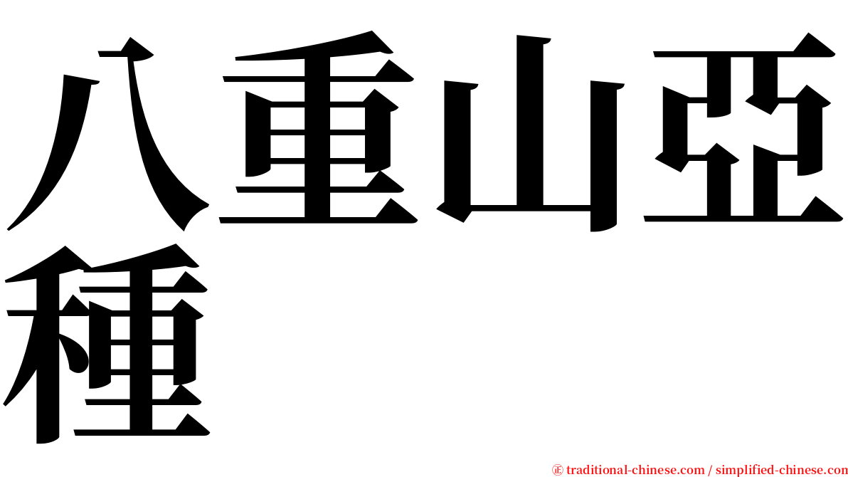 八重山亞種 serif font