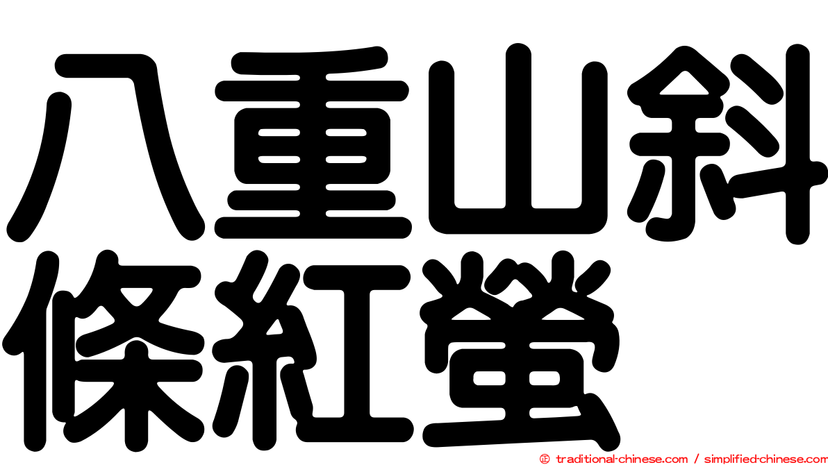 八重山斜條紅螢