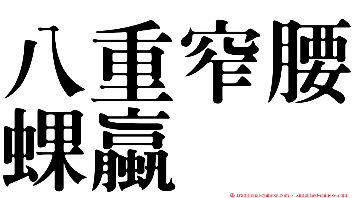 八重窄腰蜾蠃