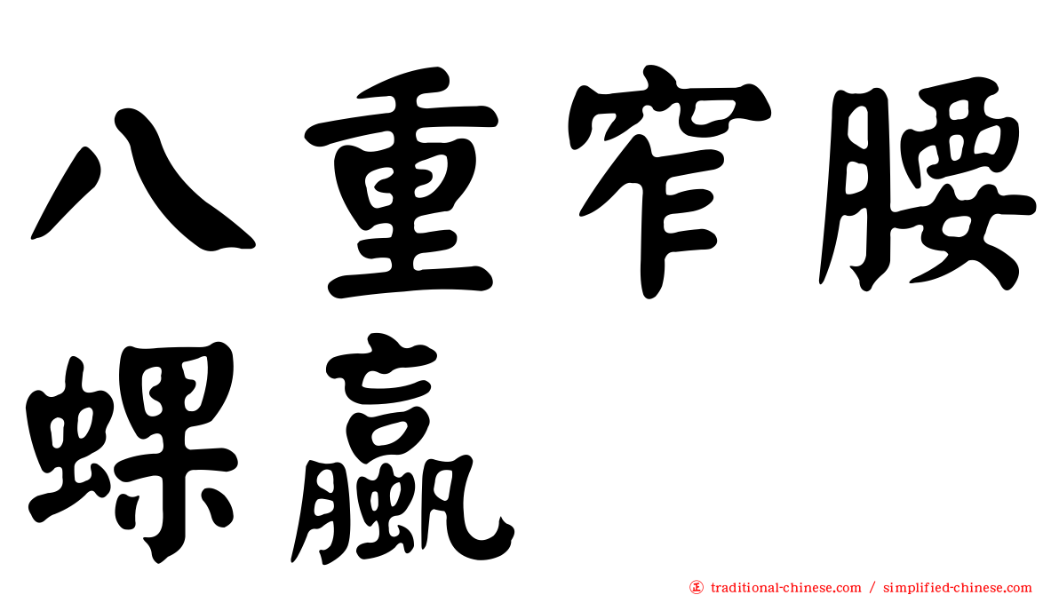 八重窄腰蜾蠃