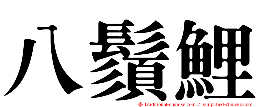 八鬚鯉