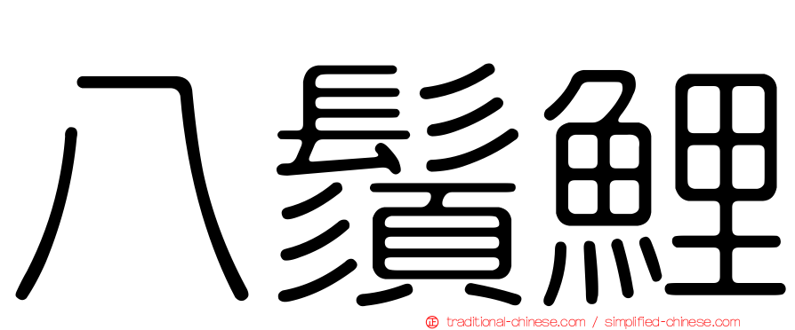 八鬚鯉