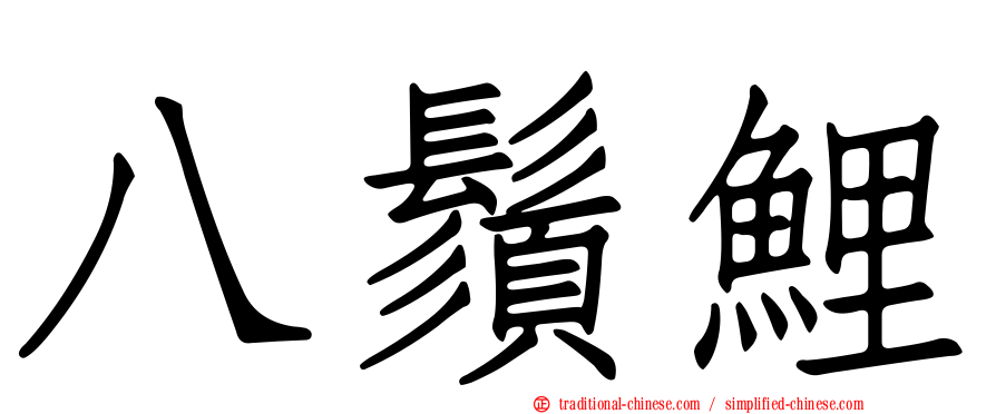 八鬚鯉
