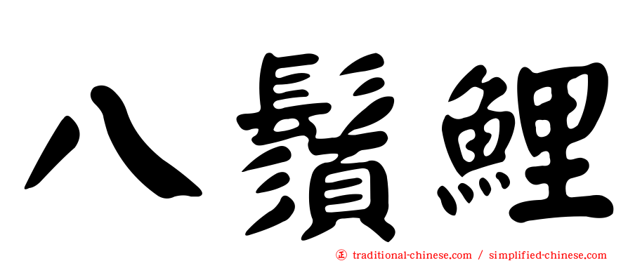 八鬚鯉