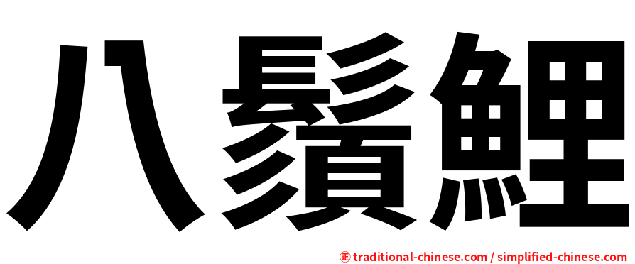 八鬚鯉