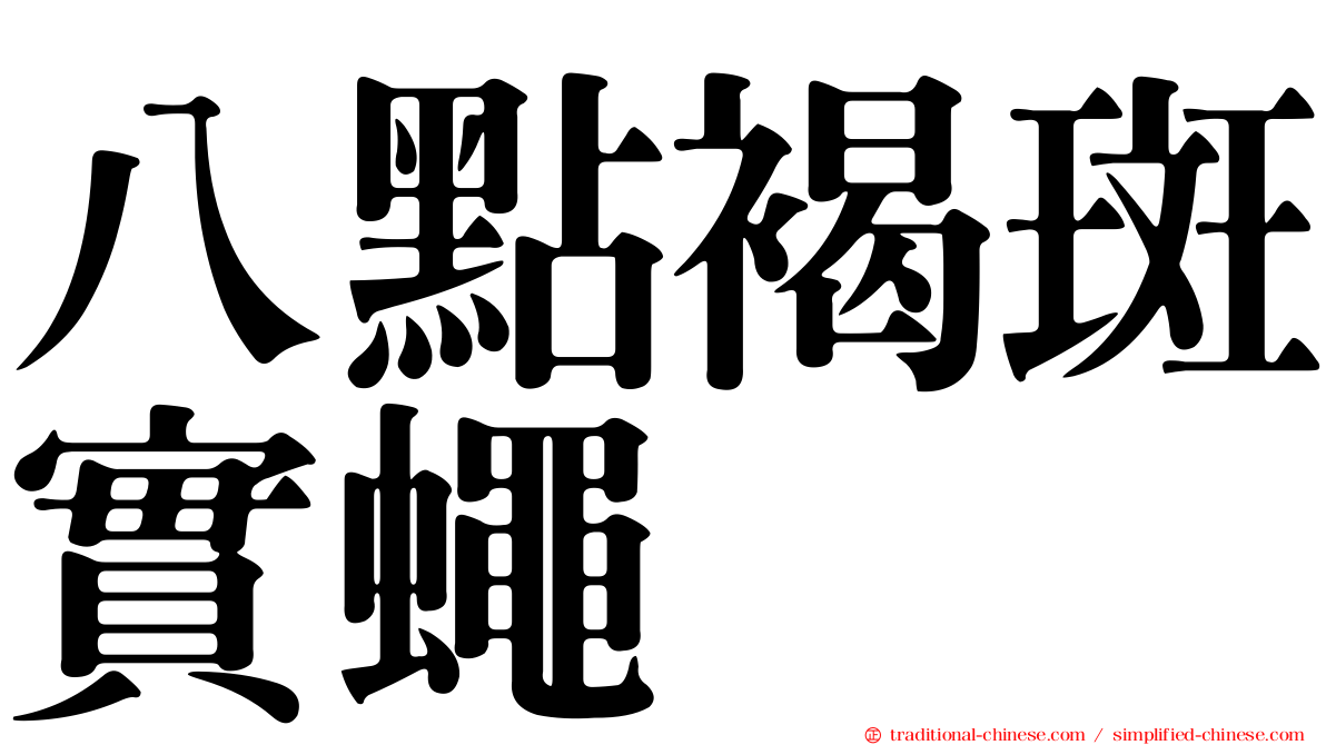 八點褐斑實蠅