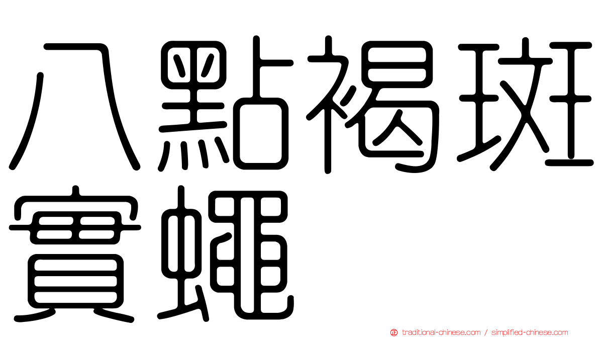 八點褐斑實蠅