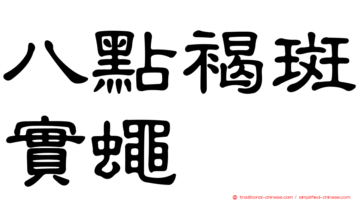 八點褐斑實蠅