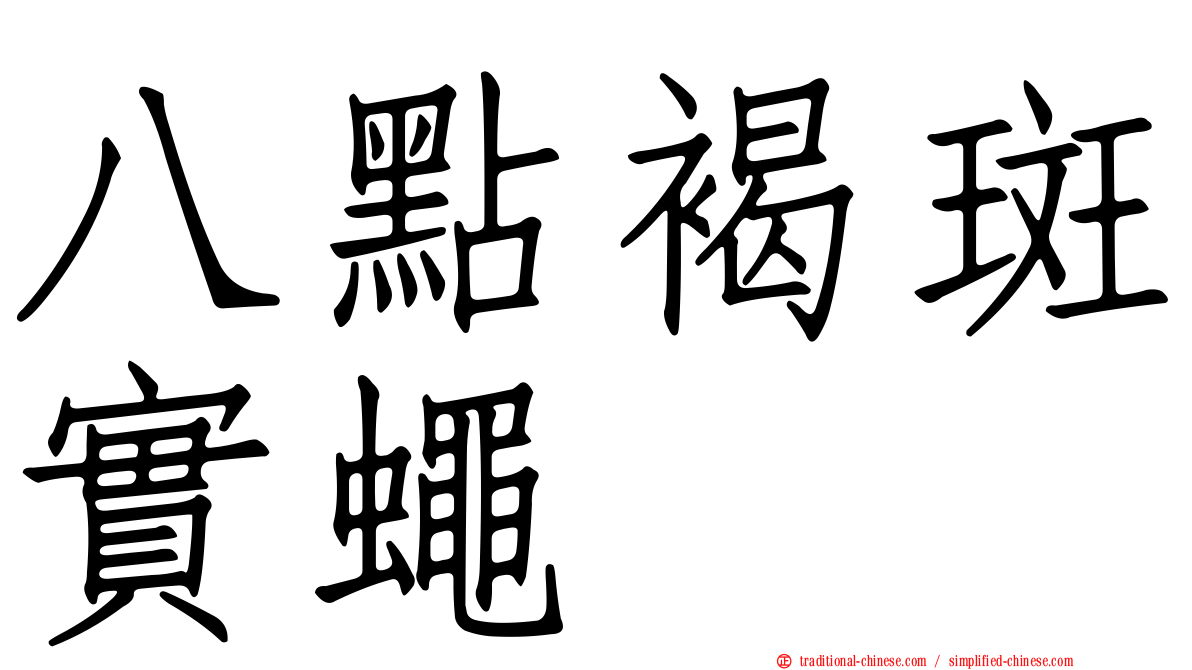 八點褐斑實蠅