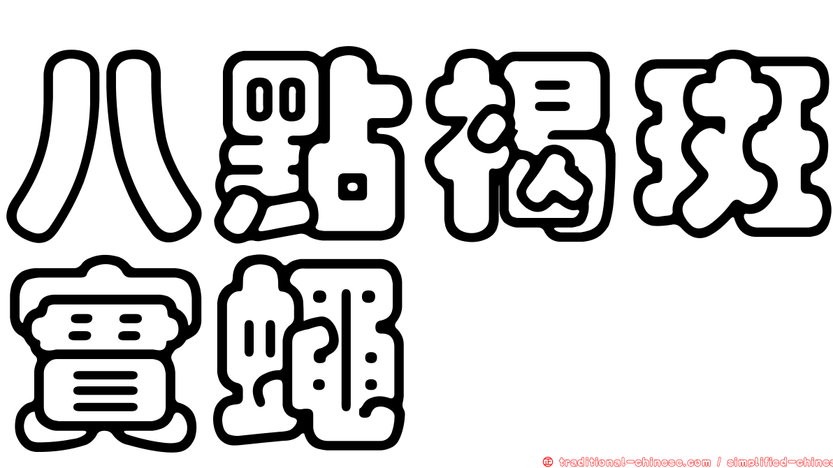 八點褐斑實蠅