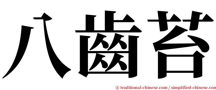 八齒苔 serif font