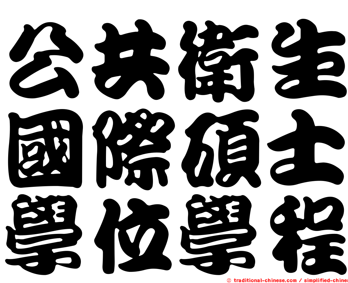 公共衛生國際碩士學位學程