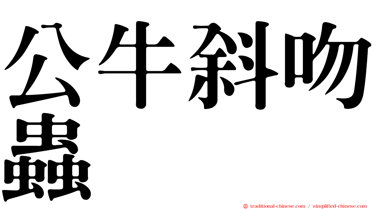 公牛斜吻蟲