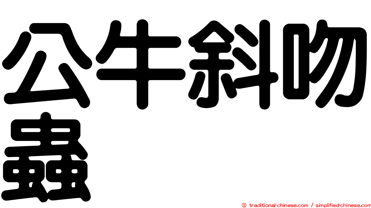 公牛斜吻蟲