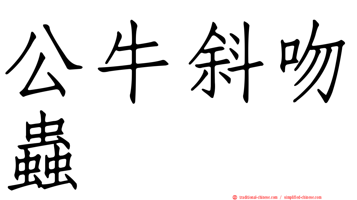 公牛斜吻蟲