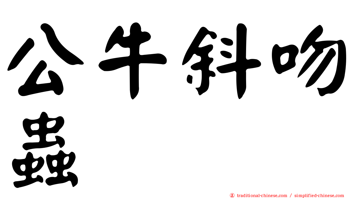 公牛斜吻蟲
