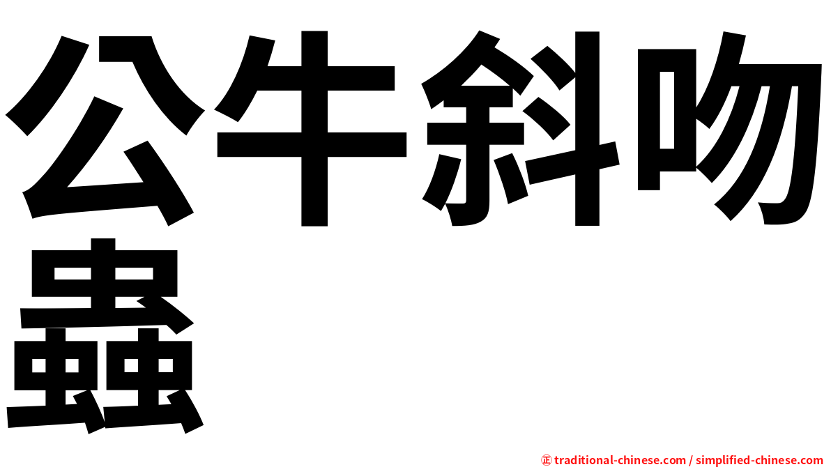 公牛斜吻蟲