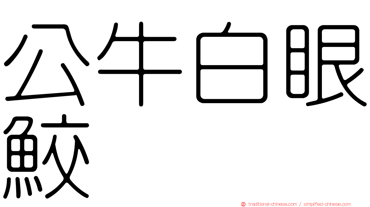 公牛白眼鮫