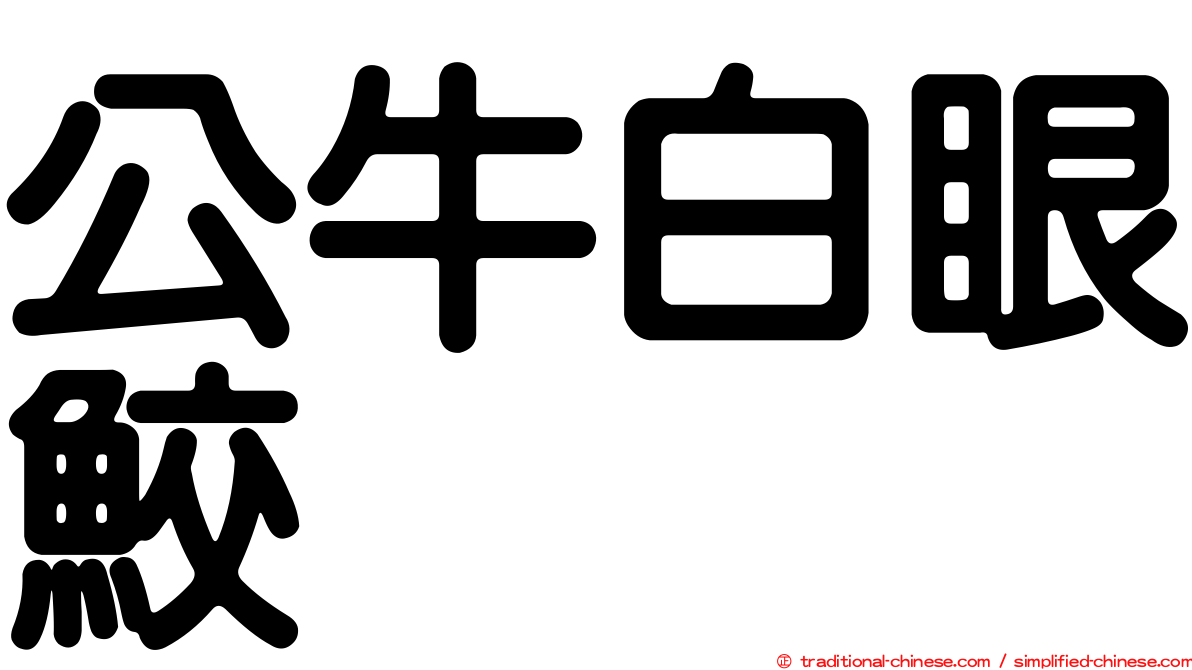 公牛白眼鮫