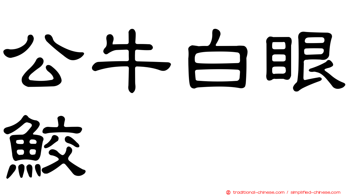 公牛白眼鮫