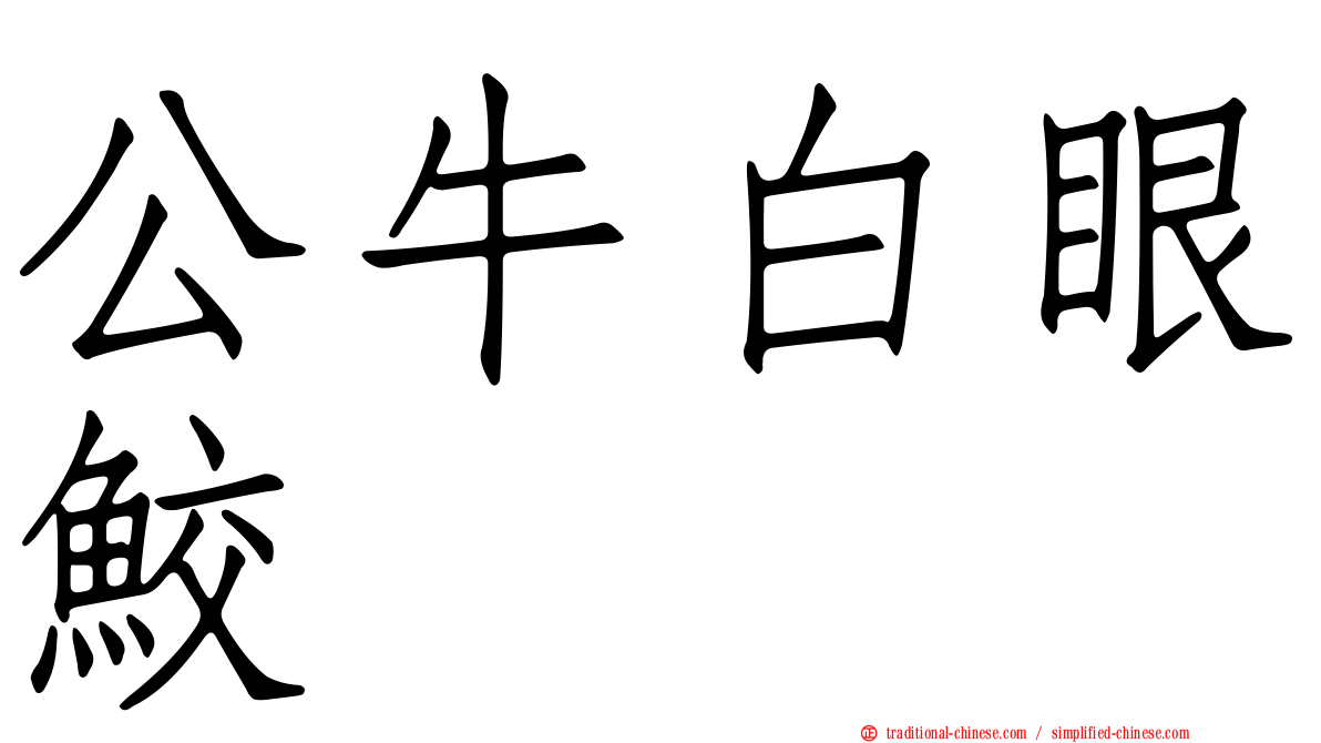 公牛白眼鮫