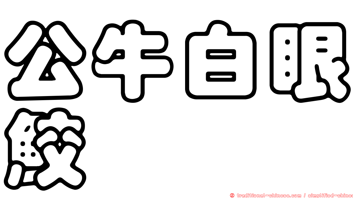 公牛白眼鮫