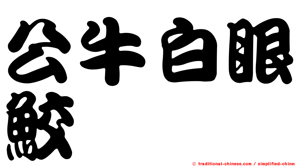 公牛白眼鮫