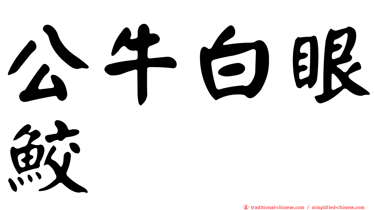 公牛白眼鮫