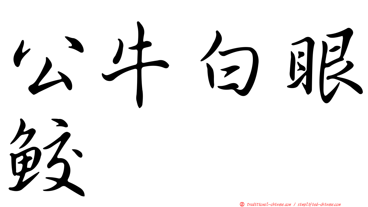 公牛白眼鮫