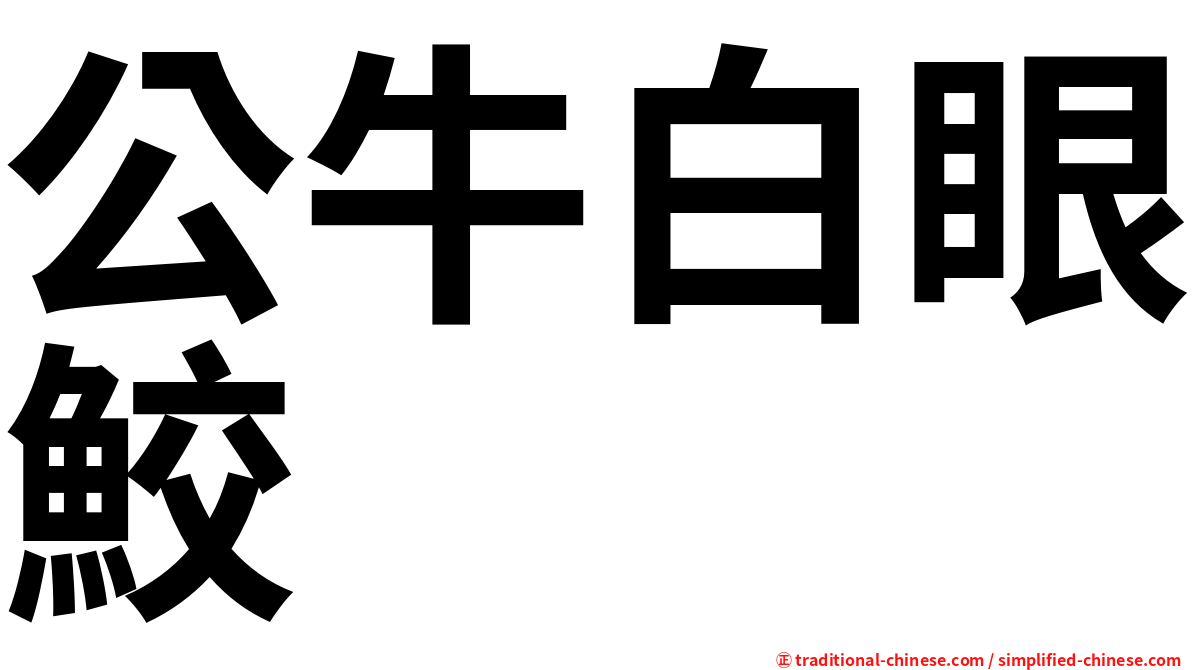 公牛白眼鮫