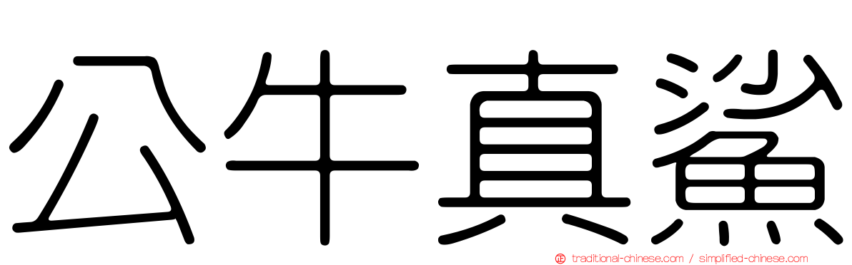 公牛真鯊