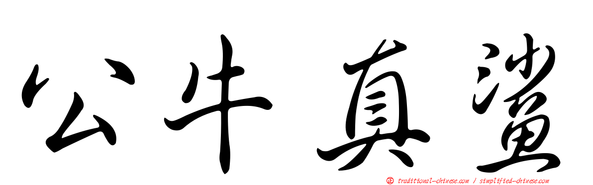 公牛真鯊