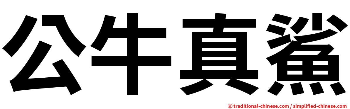 公牛真鯊