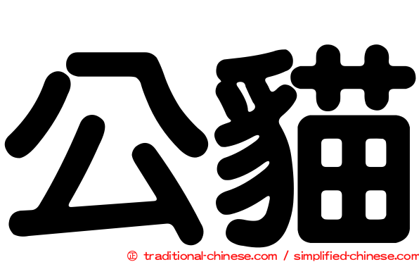 公貓