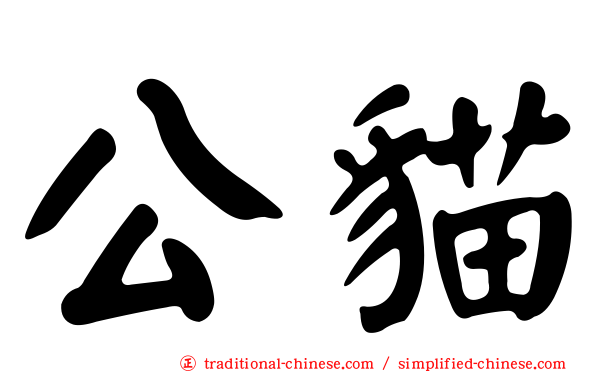 公貓