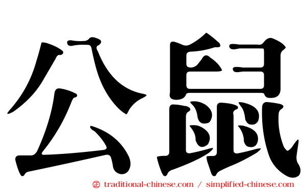 公鼠