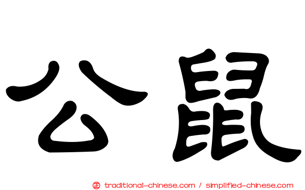 公鼠