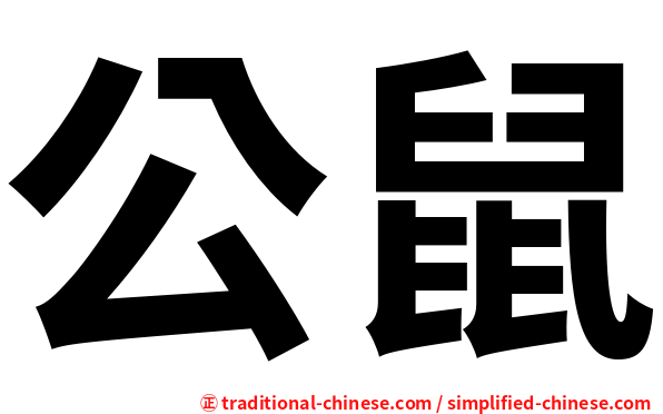 公鼠