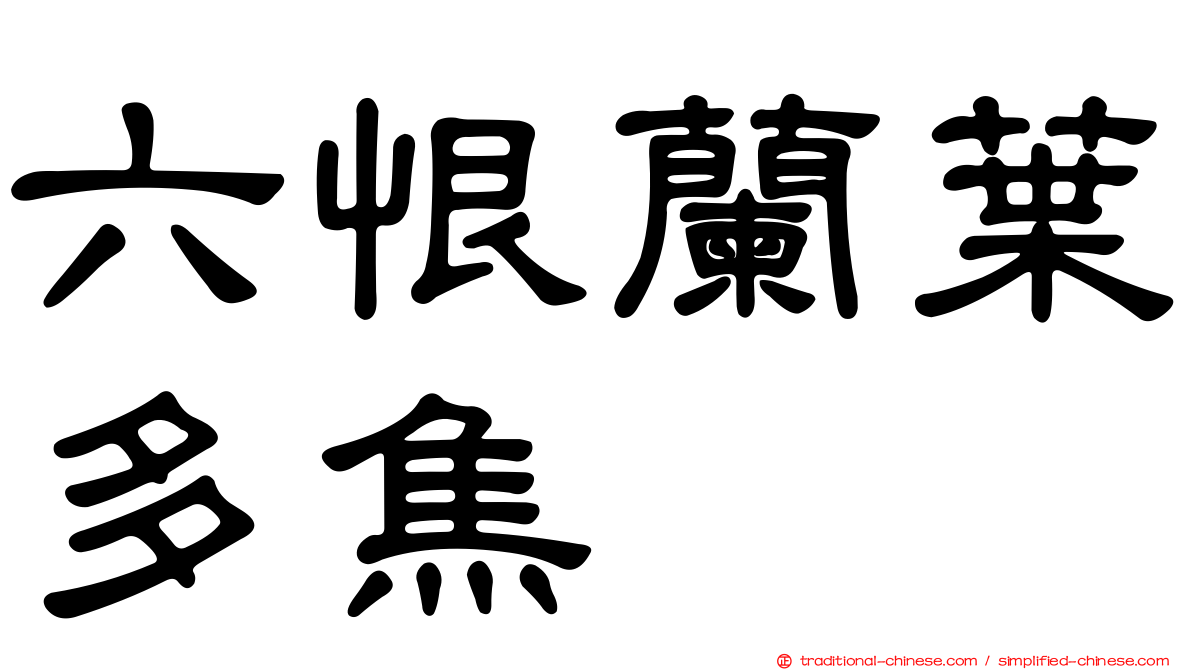 六恨蘭葉多焦