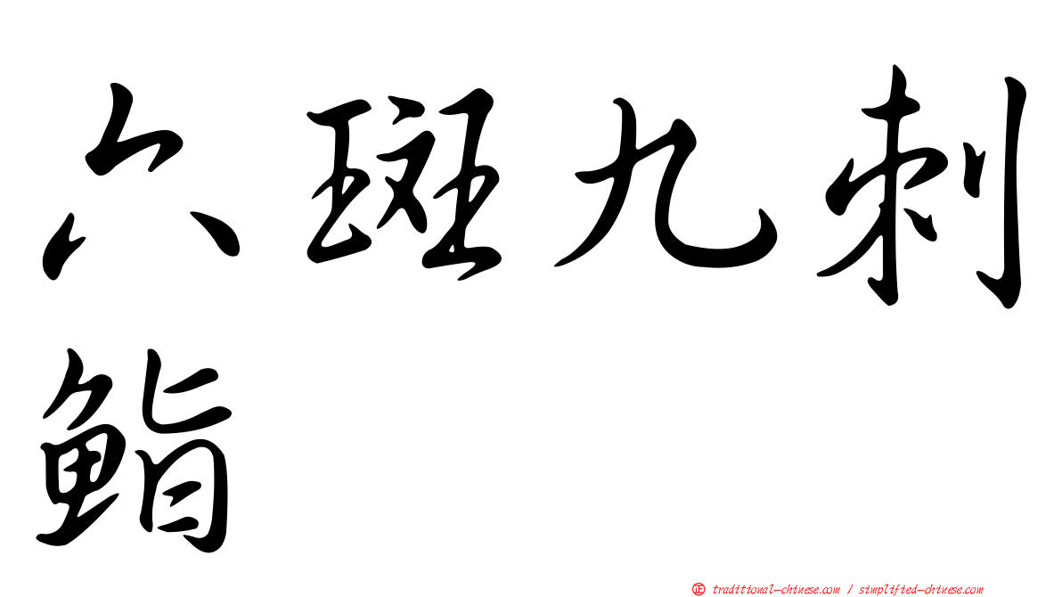 六斑九刺鮨