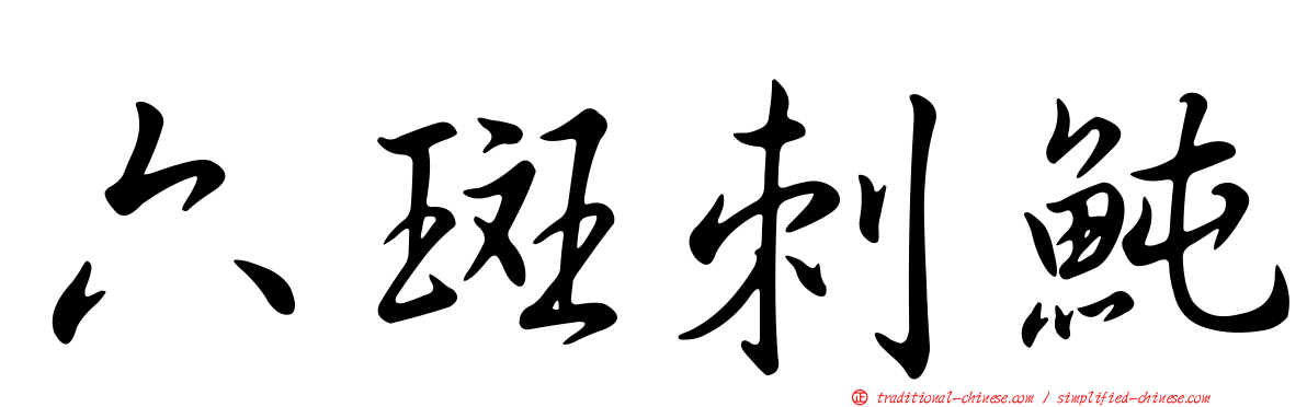 六斑刺魨